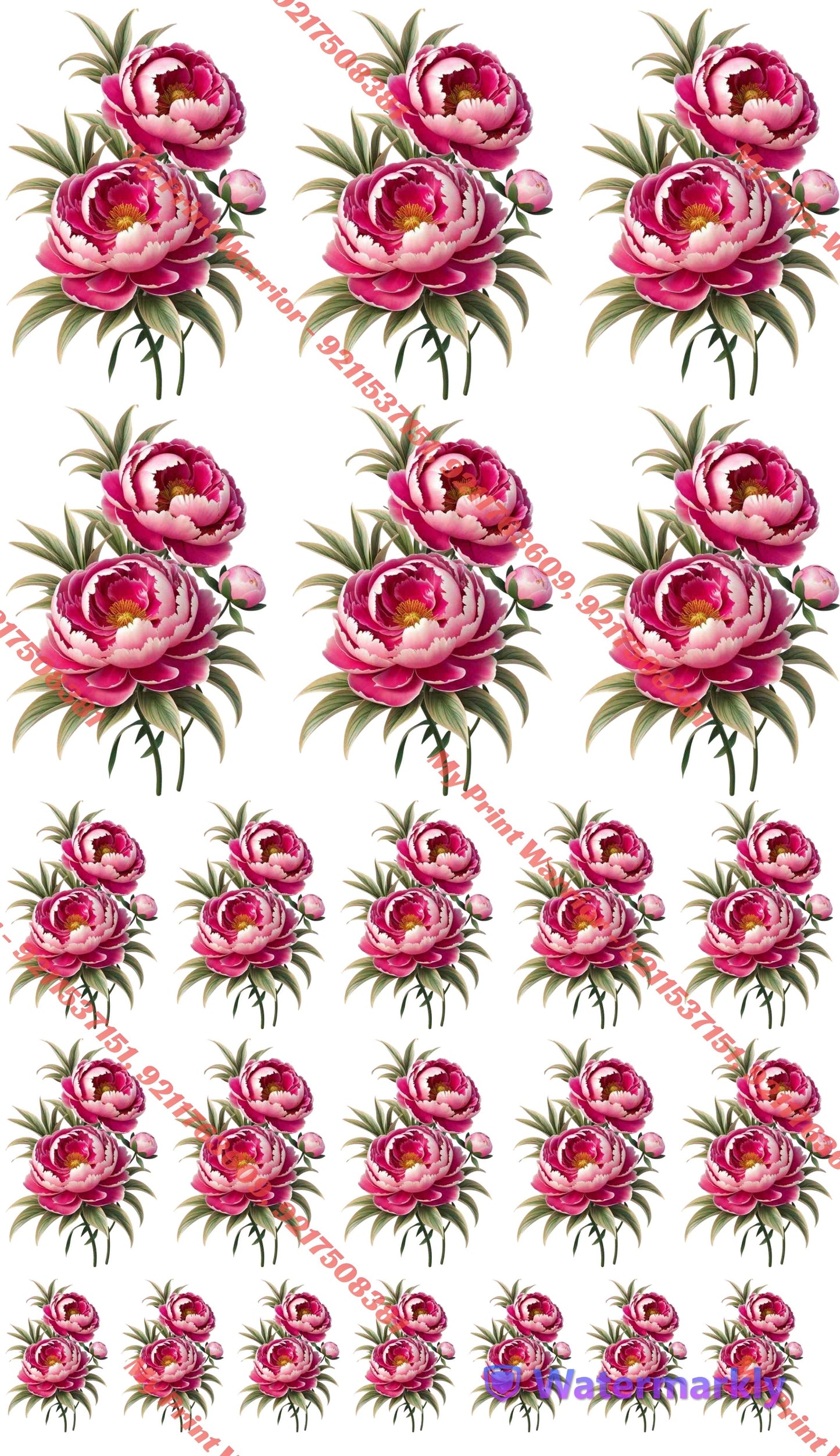 🔥 Floral DTF Gang Sheet for Suits, Dupatta & Sarees | 1 Meter | 22.5 x 39 Inches