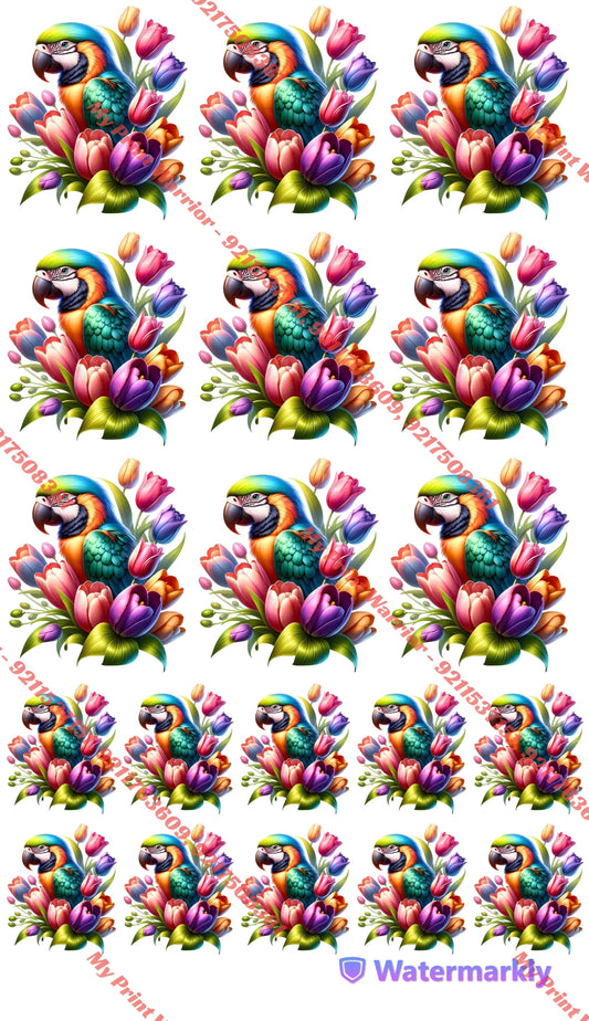 ✨ Premium Embroidery  DTF Sheet | 1 Meter| 22.5 x 39 Inches